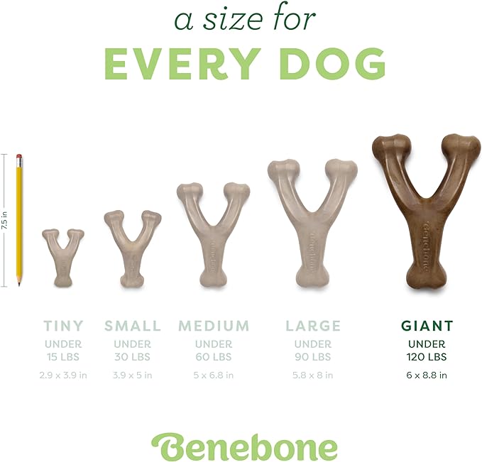 Benebone Wishbone Durable Dog Chew Toy for Aggressive Chewers, Real Chicken, Made in USA, Giant