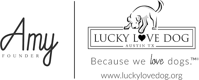 Lucky Love Dog - Adjustable Dog Collar with Easy Click Buckle for Small to Large Dogs, Durable, & Comfortable for Male & Female Dogs, Pet Collar for Puppies & Adult Ones - Carriebelle, XL