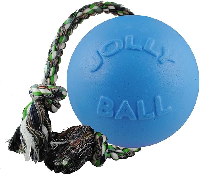 Jolly Pets Romp-n-Roll Rope and Ball Dog Toy, 4.5 Inches/Small, Blueberry for All Breed Sizes