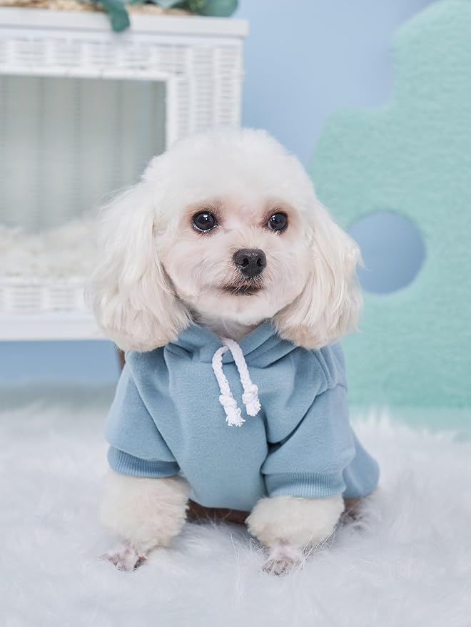 QWINEE Basic Dog Hoodie Sweatshirt Puppy Sweater Warm Cat Costumes Pet Clothes for Chihuahua Puppy Kitten Small Medium Dogs Grey and Cadet Blue Medium