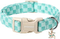 DOGWONG Green Dog Collar, Green Plaid Dog Collar Durable Checkered Pet Dog Collars Cute Summer Boy Puppy Necklace for Small Medium Large Dogs
