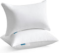 Oubonun 12 x 20 Lumbar Pillow (Set of 2) - 100% Cotton Cover - Rectangle Square Sofa Pillow Inserts - Decorative Pillow Pair - White Couch Pillow