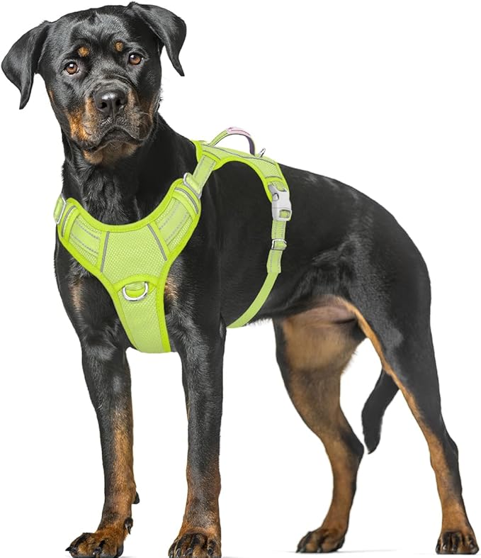 BARKBAY No Pull Dog Harness Large Reflective Dog Harness with Front Clip and Easy Control Handle for Walking Training Running with ID tag Pocket(Sunlight,XL)