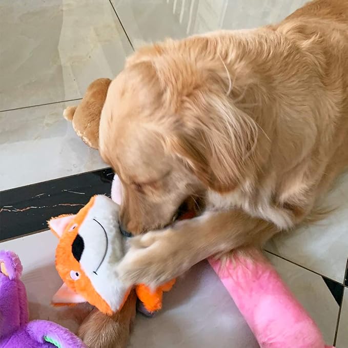 Jalousie 5 Pack Plush Toys Assortment Value Bundle Puppy Pet Mutt Squeak Toy for Medium Large Dogs (5 Pack Premium Corduroy) (1 Pack Large Plush)