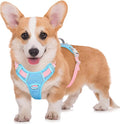BARKBAY No Pull Dog Harness Large Reflective Dog Harness with Front Clip and Easy Control Handle for Walking Training Running with ID tag Pocket(Baby Blue & Baby Pink,M)