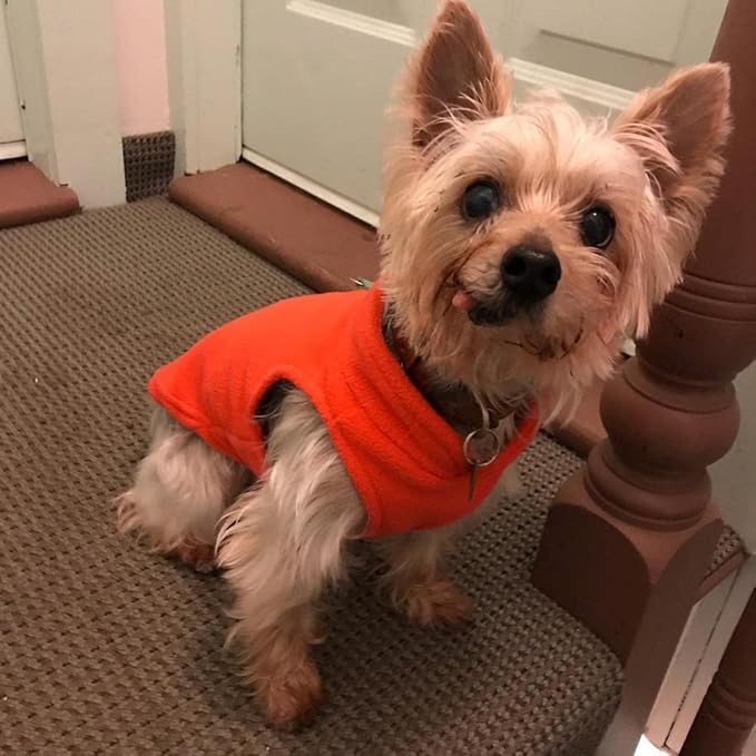 Gooby - Fleece Vest, Small Dog Pullover Fleece Jacket with Leash Ring, Pumpkin, X-Large