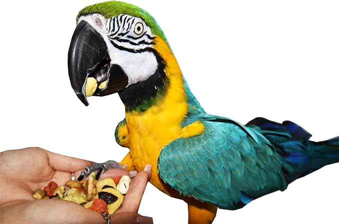 Birds LOVE All Natural Garden Blend Bird Food for Parrots 6lb