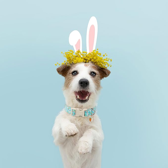 DOGWONG Easter Dog Collar, Cute Bunny Carrot Print Dog Collars Adjustable Easter Day Puppy Heart Dog Collar for Small Medium Large Dogs L