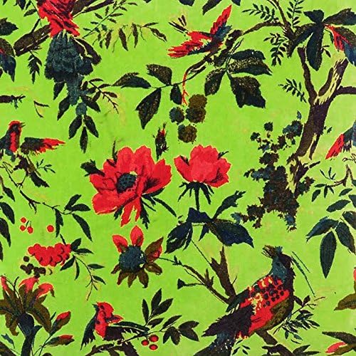 Eyes of India Velvet Floral Flower Bird Throw Pillow Sofa Cushion Cover Case Couch Colorful Boho Chic Bohemian Accent Indian Handmade (Light Green, 24" x 24")