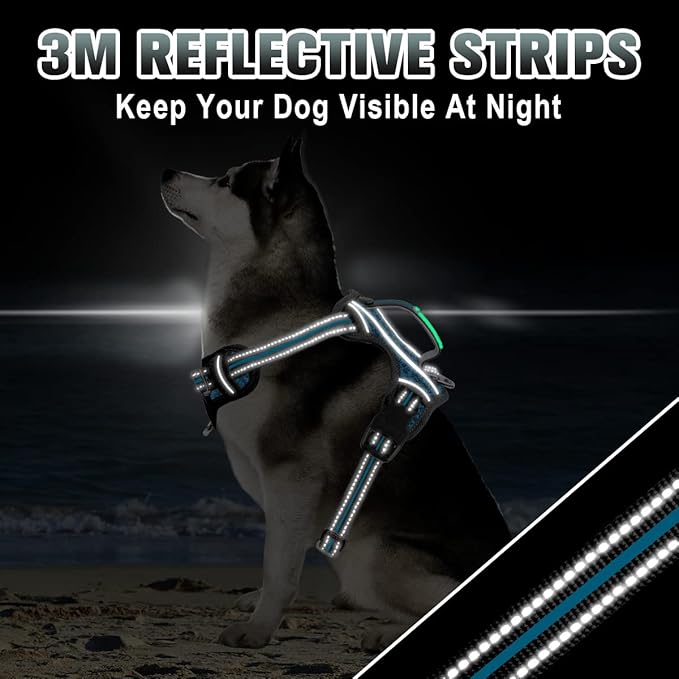 BARKBAY No Pull Dog Harness Large Reflective Dog Harness with Front Clip and Easy Control Handle for Walking Training Running with ID tag Pocket(Blue/Black,XL)