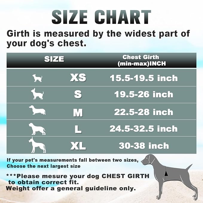 BARKBAY No Pull Dog Harness Large Reflective Dog Harness with Front Clip and Easy Control Handle for Walking Training Running with ID tag Pocket(Black,XS)