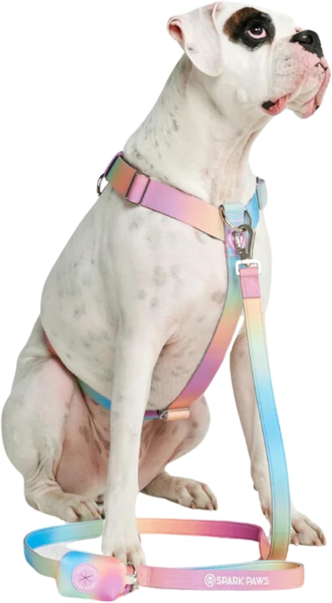 Spark Paws No Pull Dog Harness for Large Dogs, Heavy Duty Dog Harness for Big Strong Breeds, Adjustable, Y Shaped Padded Halter Design with Front Clip - Pastel Icing - M