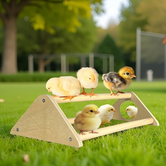 Chicken Toys with Mirror, Roosting Bars for Chicks in Coop and Brooder, Wooden Chicken Perch, Coop Accessories for Large Bird, Baby Chicks, Parrot