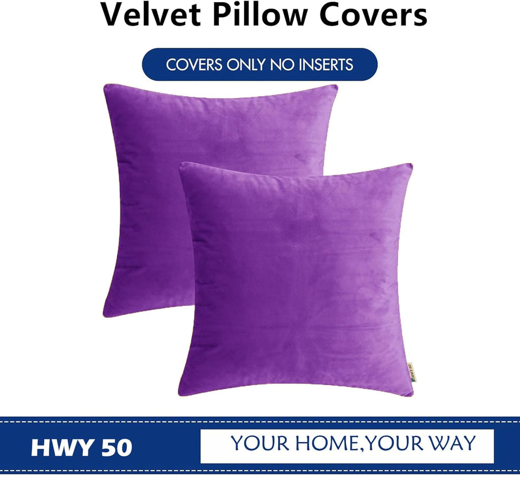 HWY 50 Purple Velvet Throw Pillow Covers 16x16 Inch, Pack of 2 Soft Cozy Solid Decorative Luxury Cushion Cases for Couch Sofa Bed Living Room Bedroom