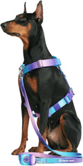 Spark Paws No Pull Dog Harness for Large Dogs, Heavy Duty Dog Harness for Big Strong Breeds, Adjustable, Y Shaped Padded Halter Design with Front Clip - 90s Retro – S