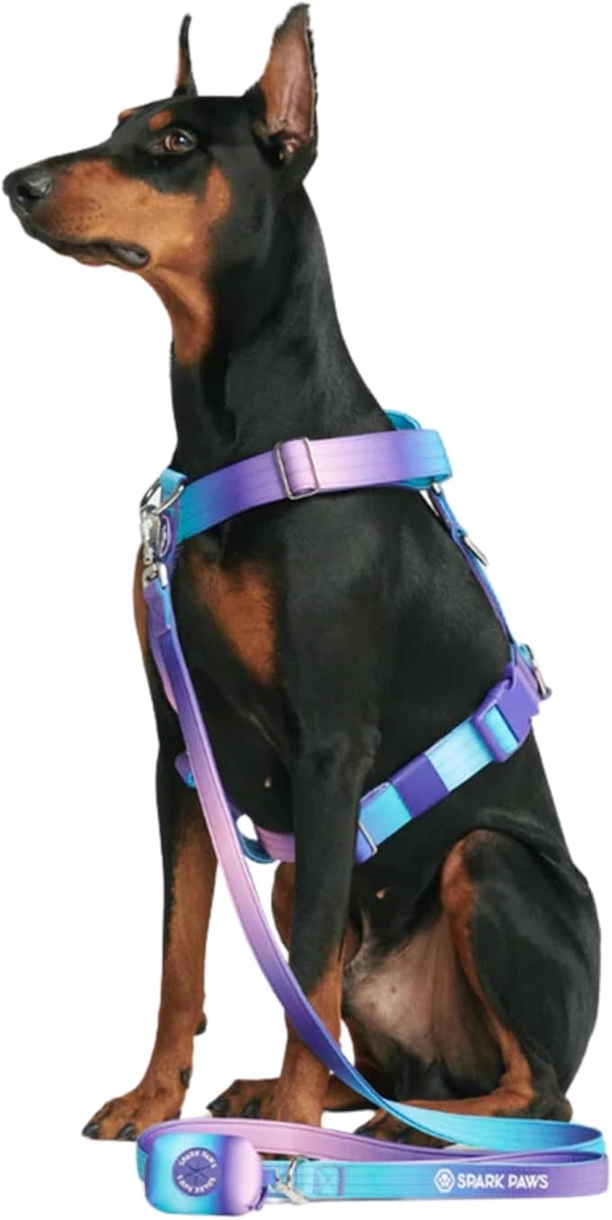 Spark Paws No Pull Dog Harness for Large Dogs, Heavy Duty Dog Harness for Big Strong Breeds, Adjustable, Y Shaped Padded Halter Design with Front Clip - 90s Retro – S