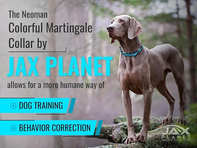 Blue Martingale Collar for Dogs - Heavy Duty Nylon Pet Collars for Escape-Free, No Pull Training & Walking with Alloy Metal Release Buckle & Reflective D Ring, One Time Adjustment, Safe & Secure, L