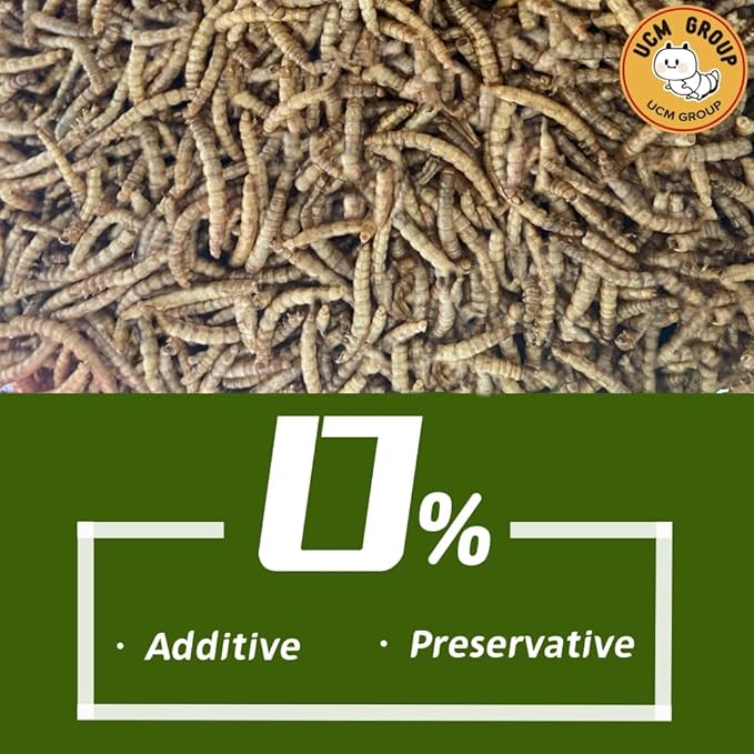 UCM Group 5LB Dried mealworms for Wild Birds, Chickens, High Protein Organic Chicken Feed, 100% Non-GMO for Chickens, Ducks, Turtles and Reptiles