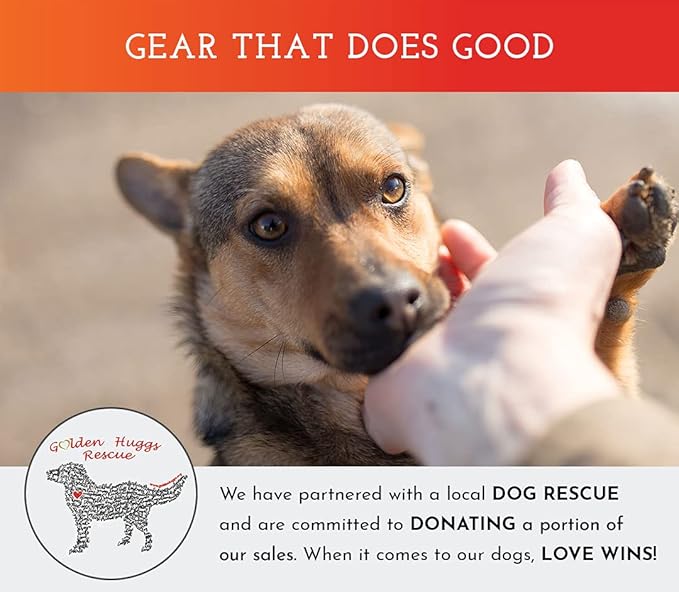 SPOT THE DOG! Reflective Dog Collar - Adjustable Pet Collars, Safe, Durable, Comfortable Dog Walking Accessories for Large Dog, Hunting Dog, Puppy, Lightweight Boy, Girl Dog Collars (Blaze Orange, XL)