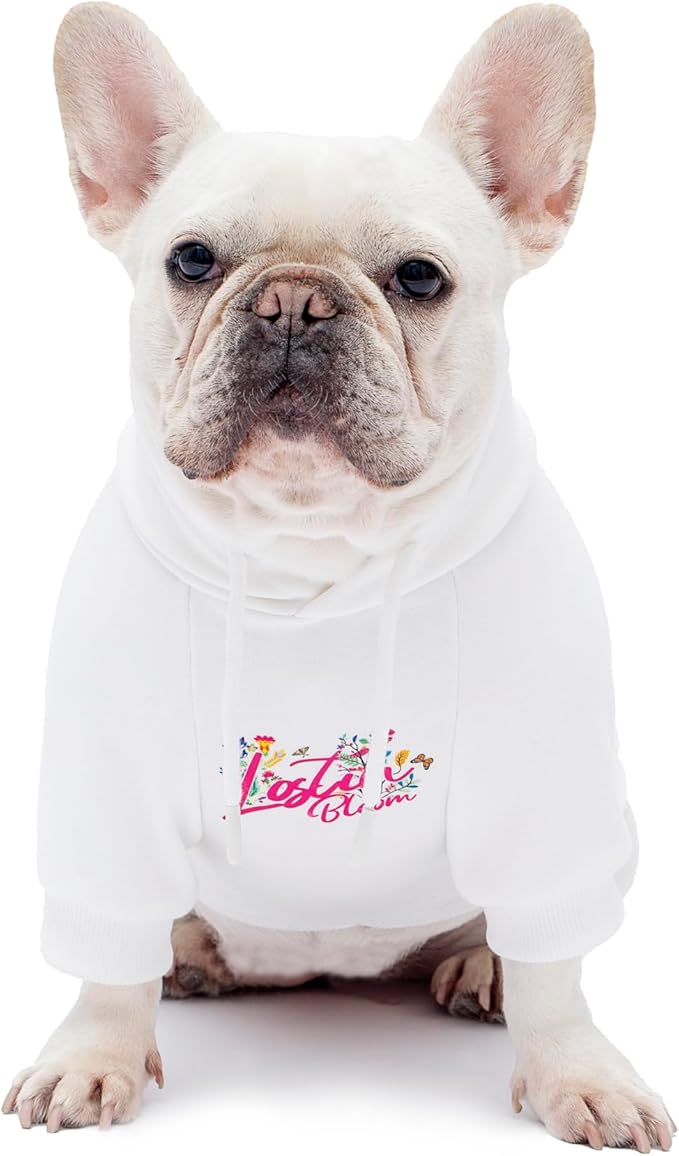 Blooming Teddy Dog Hoodie Dog Clothes Extra Warm Fleece Lining Stretchy Fit for Small Medium Dogs (White, Large)