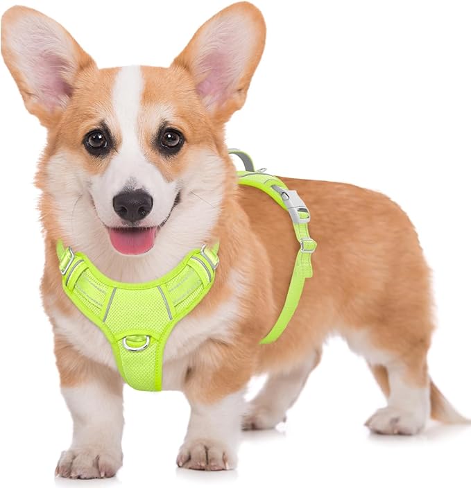 BARKBAY No Pull Dog Harness Large Reflective Dog Harness with Front Clip and Easy Control Handle for Walking Training Running with ID tag Pocket(Sunlight,M)
