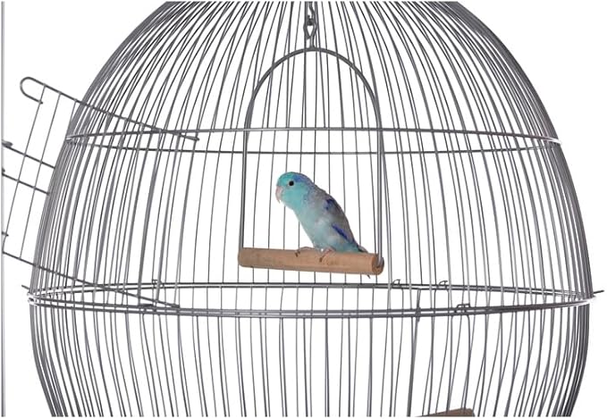 Maykoosh Neo-Classical Nostalgia Scrollwork Bird Cage with Intricate Design, Durable Metal Construction, Spacious Interior