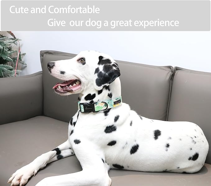 ARING PET Summer Dog Collar-Lightweight Dog Collar for Medium Dogs, Adjustable Comfortable Cotton Pet Collars for Small Medium Large Dogs, Medium