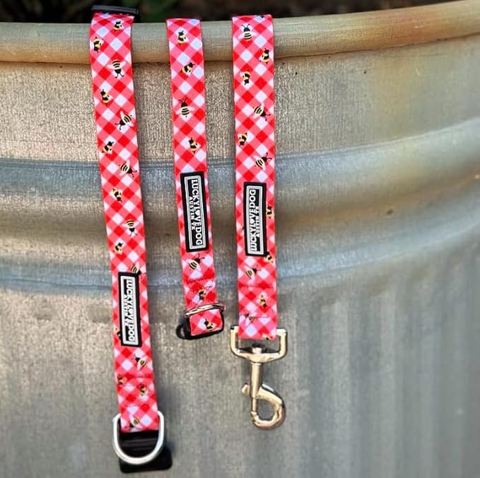 Lucky Love Dog - Easy Click Buckle Dog Collar with Leash Set Combo, Durable & Comfortable for Male & Female Dogs, Pet Collar for Small to Large Dogs, Secure Fit - Bailey Combo, Large