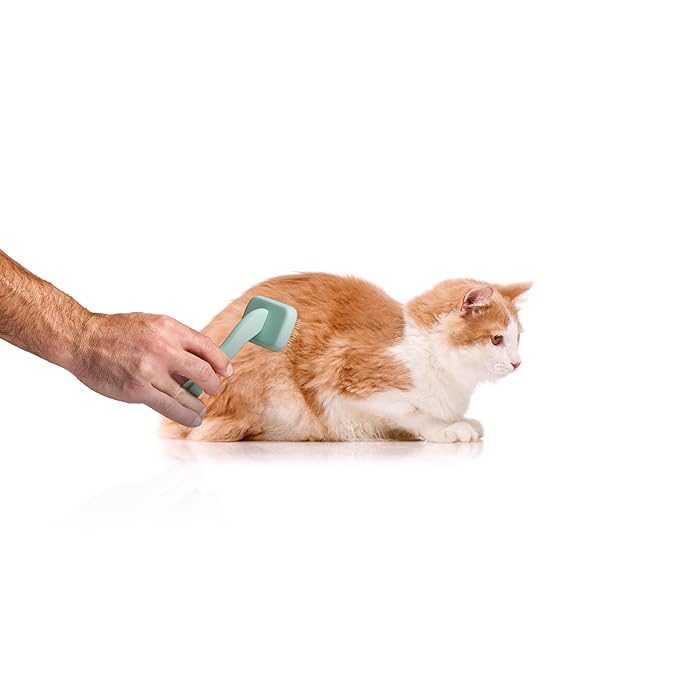 Floof by Brodie Dog Grooming Slicker Wire Brush: Designed for Long Haired Dog Breeds - Dematting and Deshedding, Comfortable and Easy to Use, Ergonomic Handle - Small (Teal, Small)