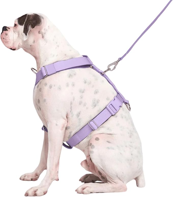Spark Paws No Pull Dog Harness for Large Dogs, Heavy Duty Dog Harness for Big Strong Breeds, Adjustable, Y Shaped Padded Halter Design with Front Clip - Purple - Medium
