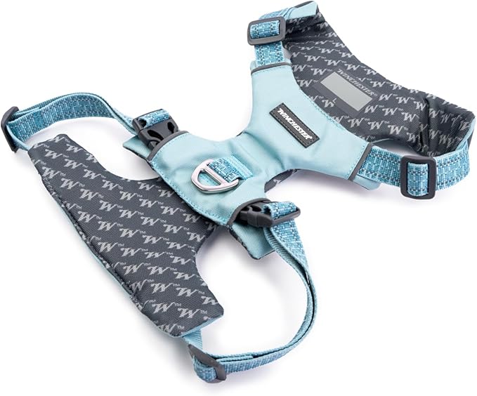 Winchester Pet No-Pull Adjustable Soft Padded Dog Vest Harness with Reflective Stitching, Aqua Haze, Medium