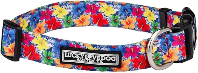 Lucky Love Dog - Adjustable Dog Collar with Easy Click Buckle for Small to Large Ones, Durable, & Comfortable for Male & Female Dogs, Pet Collar for Puppies & Adult Dogs - Hana, Small