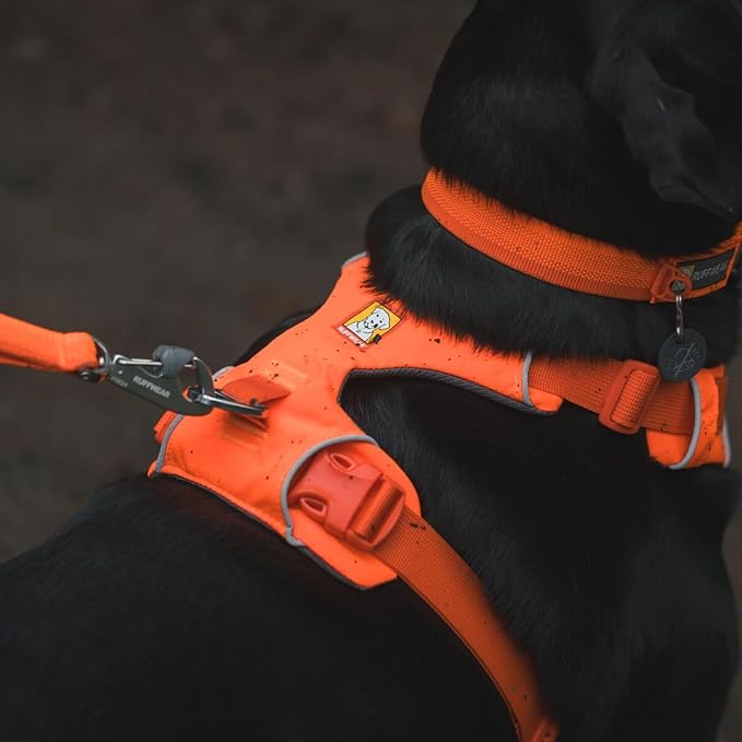 Ruffwear, Front Range Dog Harness, Reflective Soft Padded Everyday Harness with Dual Leash Clips, Adjustable and Lightweight Fit for Training or Walking for All Dogs, Blaze Orange, X-Small