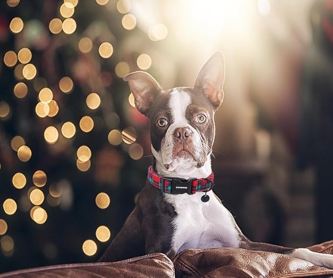 DOGWONG Christmas Cotton Dog Collar, Red Green Tartan Christmas Dog Collar Durable Soft Fabric Pet Dog Collars Cute Red Green Plaid Necklace for Small Mediu Dogs