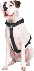Spark Paws No Pull Dog Harness for Large Dogs, Heavy Duty Dog Harness for Big Strong Breeds, Adjustable, Y Shaped Padded Halter Design with Front Clip - Black - M