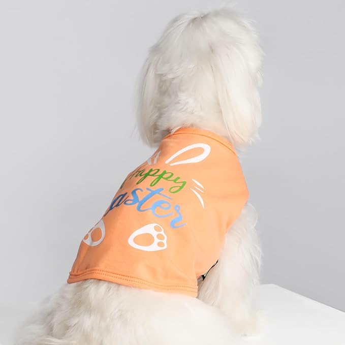Fitwarm Happy Easter Bunny Dog Shirt, Easter Dog Clothes for Small Dogs Boy Girl, Cute Pet Outfit, Green, Blue, White, Orange, Large