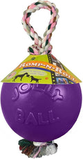 Jolly Pets Romp-n-Roll Rope and Ball Dog Toy, 4.5 Inches/Small, Purple, 4.5-Inch Romp-n-Roll, Purple