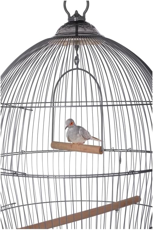 Maykoosh Neo-Classical Nostalgia Scrollwork Bird Cage with Intricate Design, Durable Metal Construction, Spacious Interior