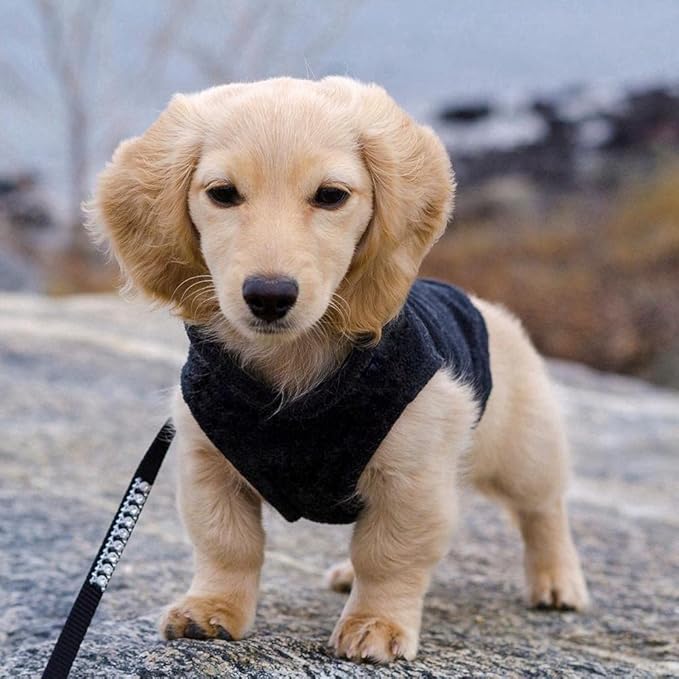 Gooby Fleece Vest Dog Sweater - Black, X-Large - Warm Pullover Fleece Dog Jacket with O-Ring Leash for Small to Medium Dogs