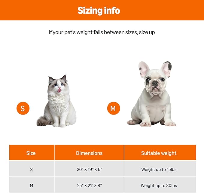 Amazon Basics Round Dog Bed for Small Dogs, Cat Beds for Indoor Cats, Washable Puppy Bed with Soft Plush Cushion, Anti-Slip Bottom, 20x19x6 Inches, Gray