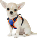 Eagloo Small Dog Harness No Pull, Service Vest with Reflective Strips and Control Handle, Adjustable and Comfortable for Walking, No Choke Pet Harness with 2 Metal Rings, Blue & Orange, XS