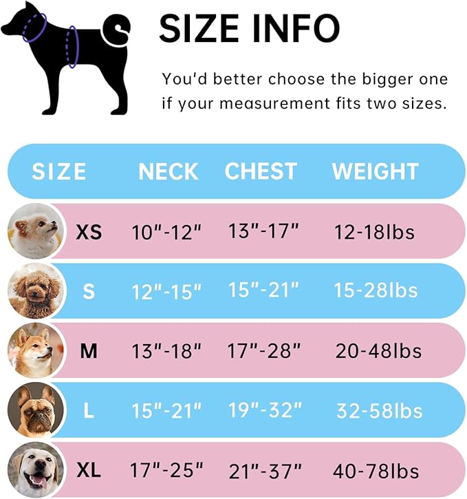 IVY&LANE No Pull Dog Harness for Small Dogs, Dog Vest Harness with Leash, Safety Belt and Storage Strap, Fully Adjustable Harness, 360° Reflective Strip, Soft Handle (Blue, S)