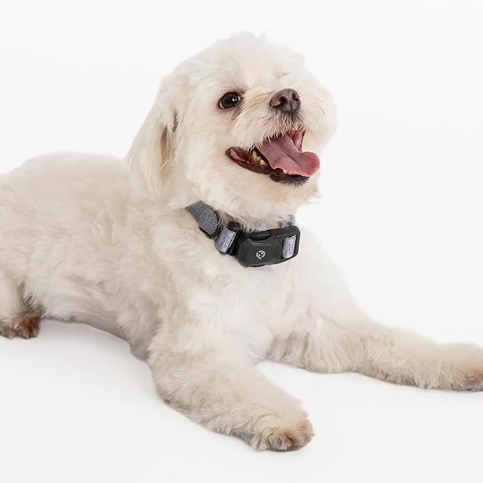 2025 New Edition, Fei & Eve MagEase Dog Collar - Patented Magnetic Buckles | Fur-Safe | Premium 210D Nylon | 450LB Escape-Proof | Adjustable Fit | Small (Twilight Gray)