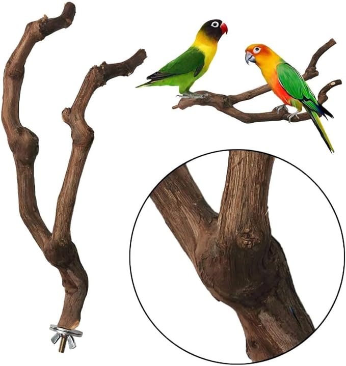 kathson Natural Parrot Perch Bird Stand Pole Wild Grape Stick Paw Grinding Fork Parakeet Climbing Standing Branches Toy Chewable Cage Accessories for Small Budgies Cockatiels Lovebirds