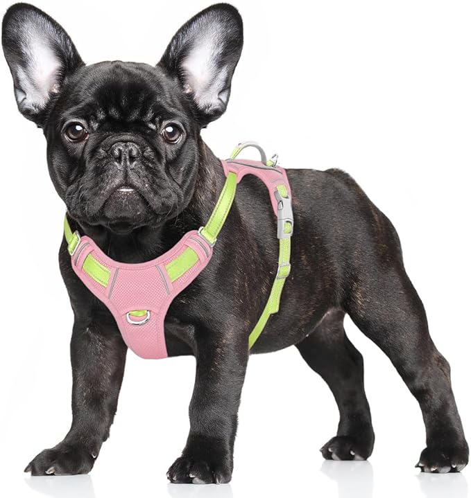 BARKBAY No Pull Dog Harness Large Reflective Dog Harness with Front Clip and Easy Control Handle for Walking Training Running with ID tag Pocket(Baby Pink & Sunlight,S)
