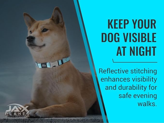 Orange Martingale Collar for Dogs - Heavy Duty Nylon Pet Collars for Escape-Free, No Pull Training & Walking with Alloy Metal Release Buckle & Reflective D Ring, One Time Adjustment, Safe & Secure, L