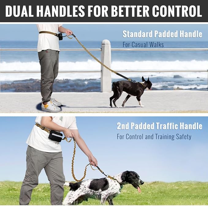 Plutus Pet Hands Free Dual Handle Retractable Bungee Leash with Reflective Stitches, Adjustable Waist Leash for Dog Walking, Running, Jogging, Medium Large Dogs