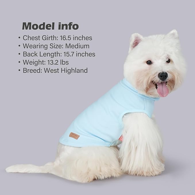 KYEESE 2Pack Dog Sweater Warm Pet Coats Pullover Dog Sweaters for Small Dogs Male Stretchy Dachshund Clothes Soft Pet Sweatshirt Turtleneck Dogs Clothes