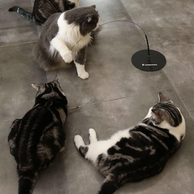 Weighted Base (Interactive Bird Simulation Cat Toy)