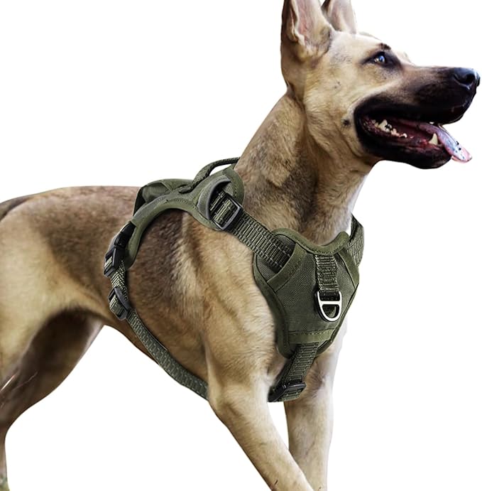 No Pull Dog Harness Medium Sized Dog for Service, Easy Walk, Training - Adjustable Reflective Dog Vest with Handle Easy Control - No Choke Metal Buckled Pet Harnesses (Green, Large)